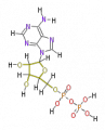 Thumbnail for version as of 20:46, 21 February 2011