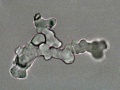 Thumbnail for version as of 14:51, 20 February 2011
