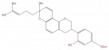 Thumbnail for version as of 17:01, 1 February 2008