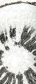 Thumbnail for version as of 14:51, 20 February 2011