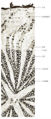 Thumbnail for version as of 18:19, 17 December 2010