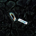 Thumbnail for version as of 22:06, 10 November 2010