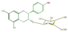 FL63AAGS0004.png