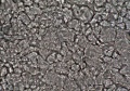 Thumbnail for version as of 22:05, 10 November 2010