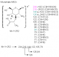 Thumbnail for version as of 14:11, 1 June 2011