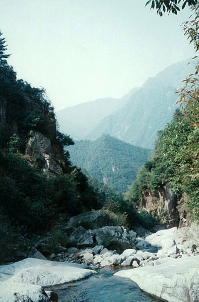 File:Tochimoto-Sinomenium-青風藤029.jpg