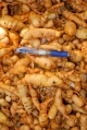 Thumbnail for version as of 12:14, 1 December 2010