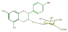 FL63AAGS0003.png