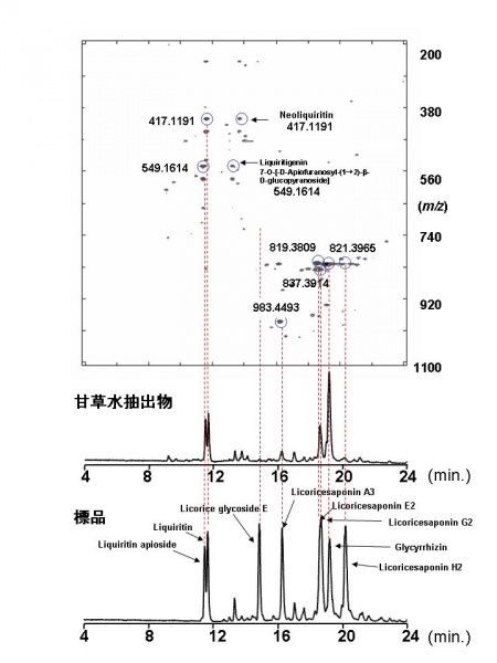 File:Alps:Glycyrrhizae Radix LC2.jpg