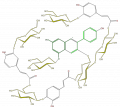 Thumbnail for version as of 17:02, 1 February 2008