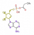 Thumbnail for version as of 11:52, 16 June 2010