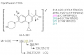 Thumbnail for version as of 14:11, 1 June 2011