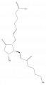 Thumbnail for version as of 15:05, 21 February 2008