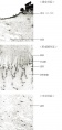 Thumbnail for version as of 16:39, 29 November 2010