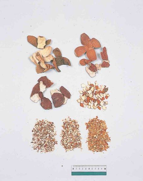 File:Alps:Aurantii Nobilis Pericarpium.jpg