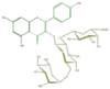 FL5FAAGL0029.png