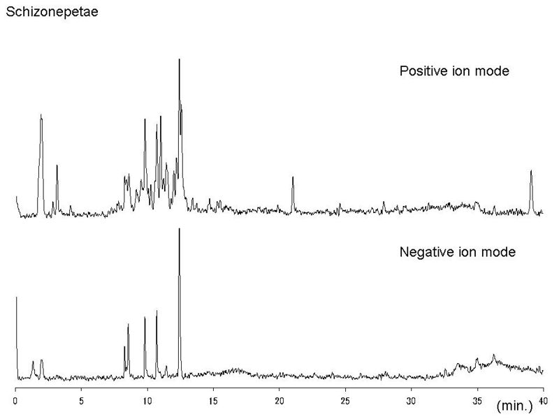 File:Schizonepetae LC-MS.jpg