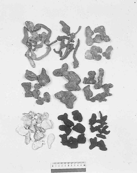 File:Alps:Polygonati Rhizoma.jpg