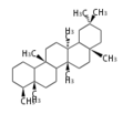 Thumbnail for version as of 11:54, 5 August 2010