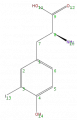 Thumbnail for version as of 14:17, 11 June 2009