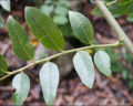 BG-phy01182.jpg