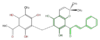 FL1CRTNP0001.png
