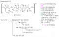 Thumbnail for version as of 14:11, 1 June 2011