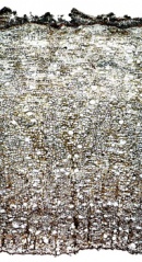 Tochimoto-Cinnamon-企辺桂皮 PICT-Ｊ.jpg