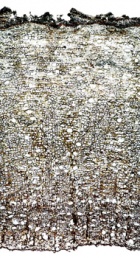 Tochimoto-Cinnamon-企辺桂皮 PICT-Ｊ.jpg