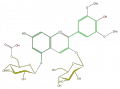 Thumbnail for version as of 17:03, 1 February 2008