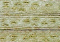 Thumbnail for version as of 22:05, 10 November 2010